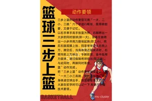 如何通过团队训练提高整体篮球反应速度？